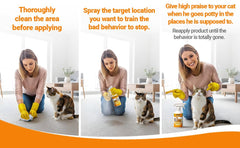 Colton's Naturals NO PEE NO POOP spray used during kitten training sessions.