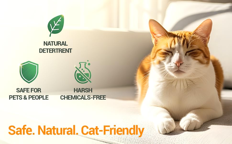 Colton's Naturals NO PEE NO POOP spray is safe for households with kids and dogs.