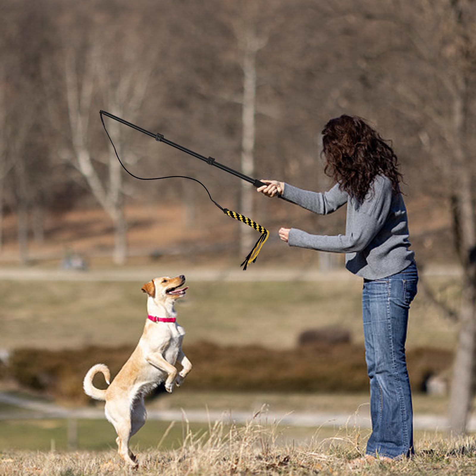 COM4SPORT Flirt Pole in action during dog training and play session