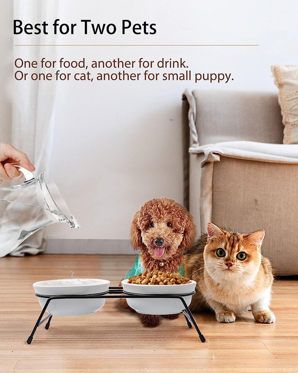 COMESOON cat bowl displays pristine white glaze suitable for any feeding setup