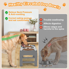 COMESOON dual 50oz bowls offer durable stainless steel for long-lasting use