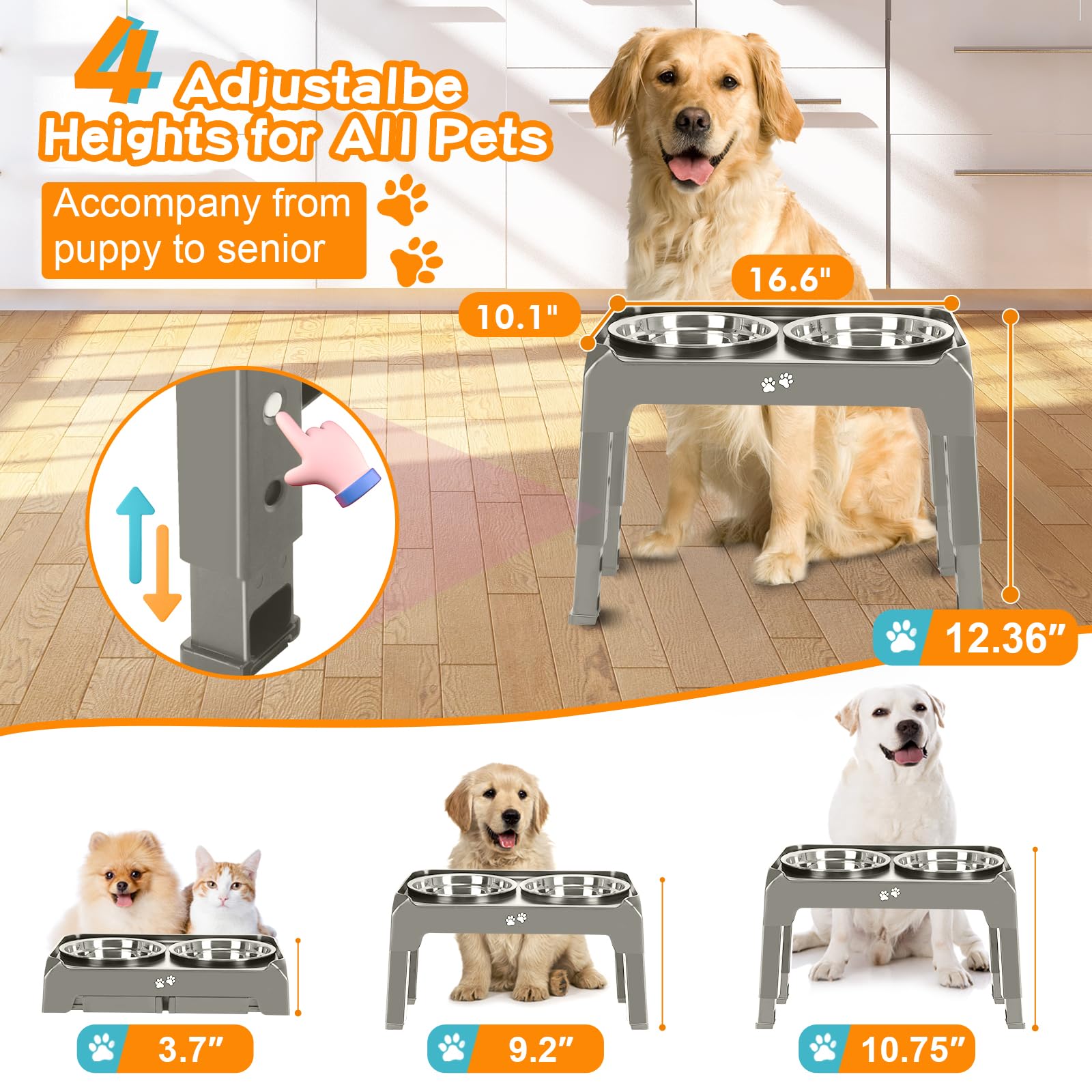 COMESOON 50oz thickened stainless steel bowls provide ample capacity for large dogs.