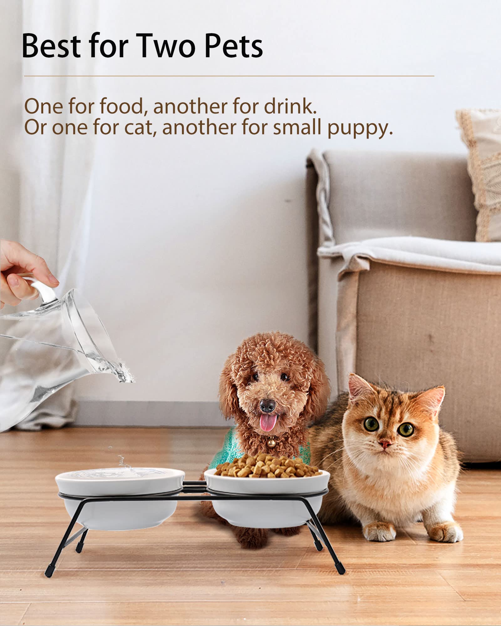 COMESOON 2.75-inch elevated height enhances neck comfort during feeding