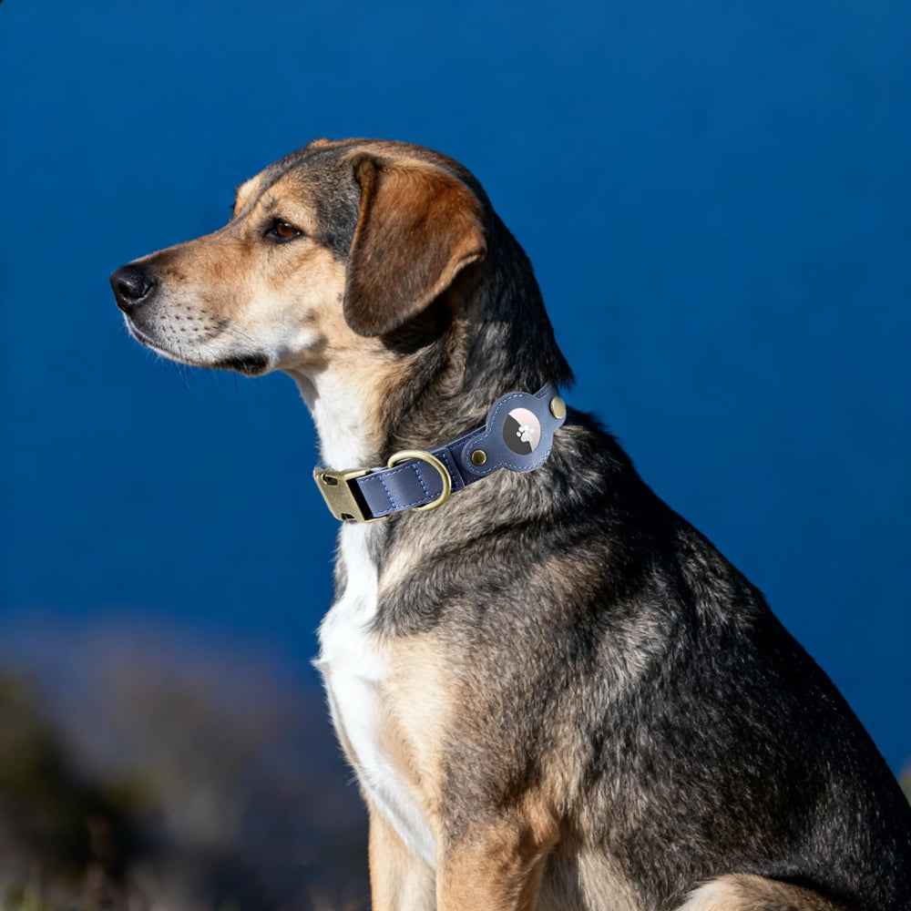 Comfluxe color-options-deep-brown-blue-pink showcases versatile styles for all dogs.