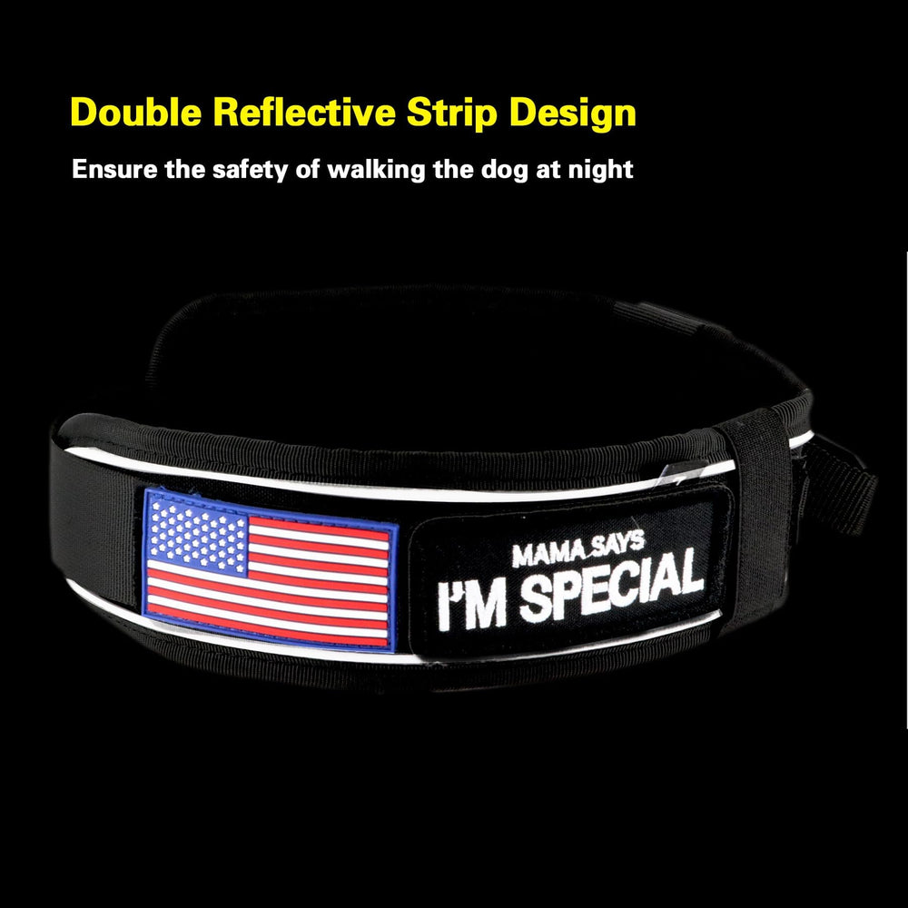 Comfluxe large dog collar in L and XL fits big breeds.