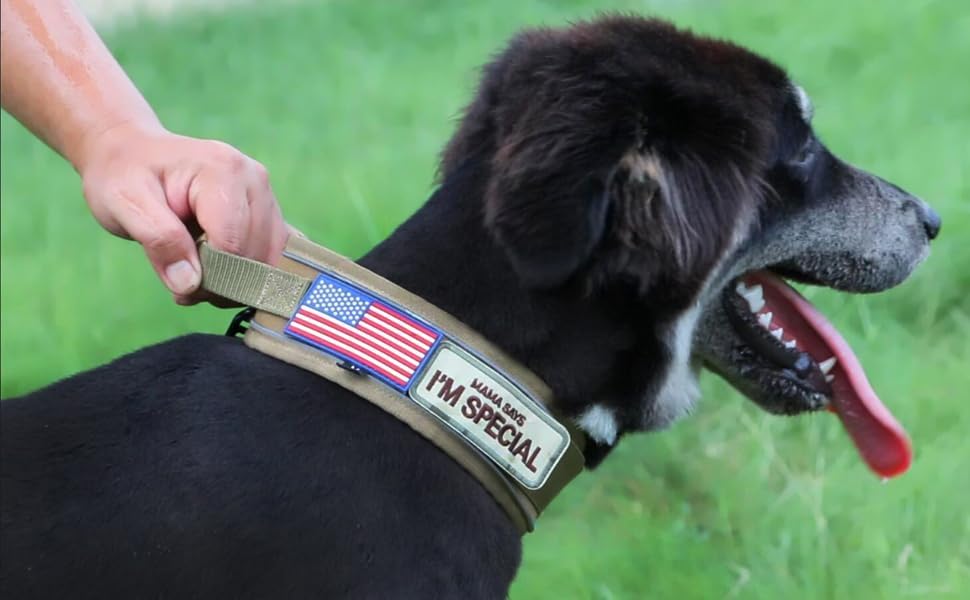 Comfluxe nylon dog collar with double reflective stitching improves night visibility.