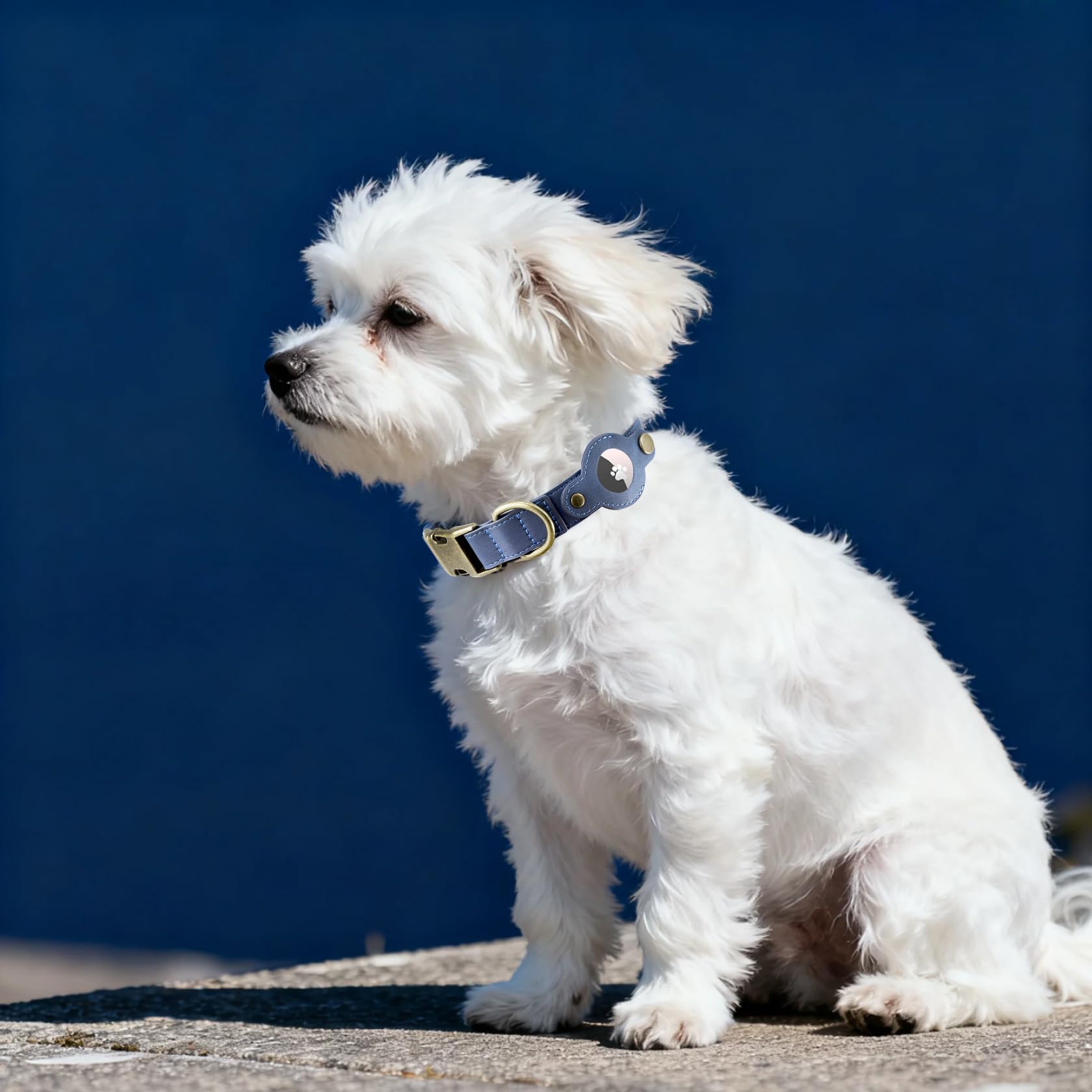 Comfluxe on-dog-large-breed-collar demonstrates fit for bigger dogs.