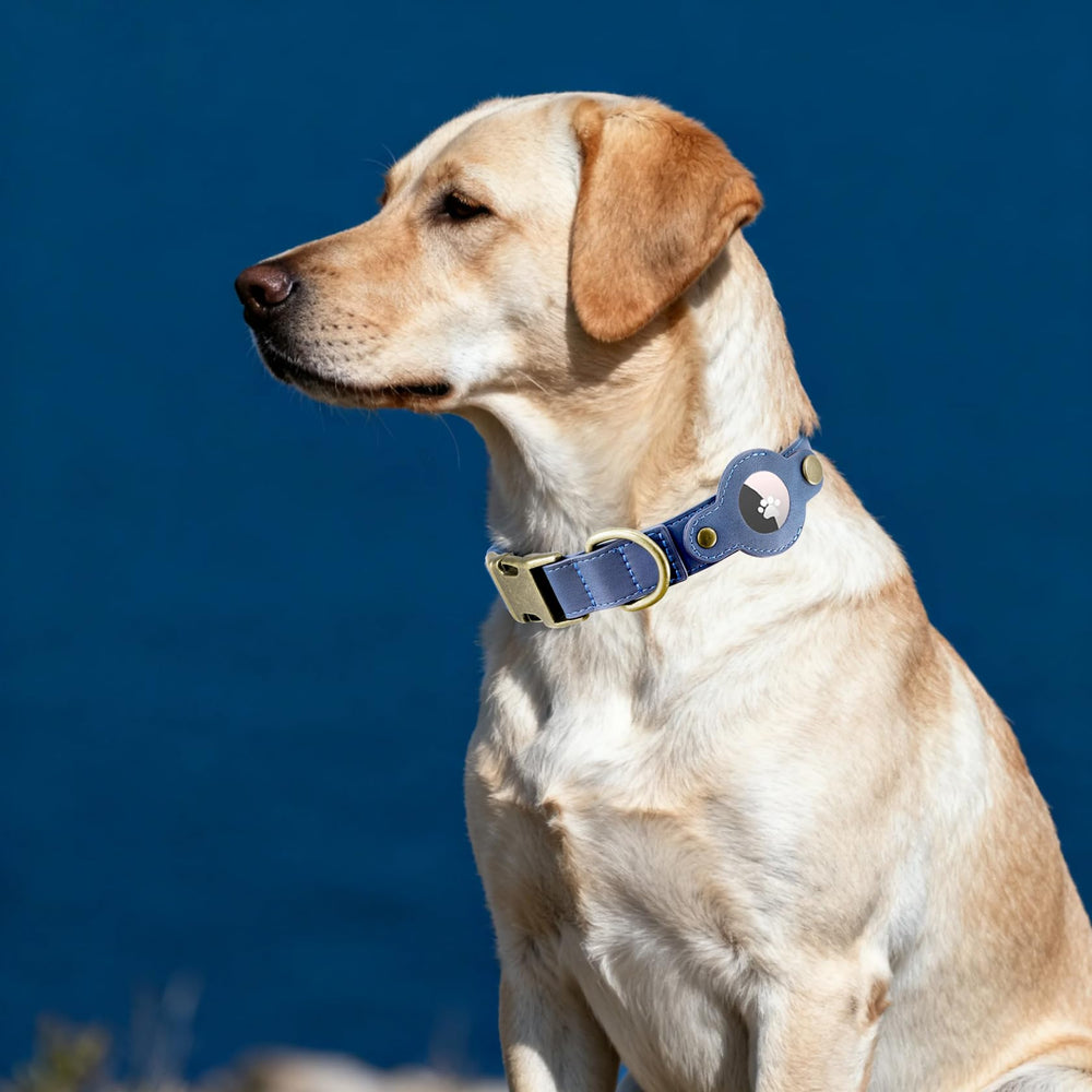 Comfluxe soft-leather-dog-collar highlights premium comfort and durability.