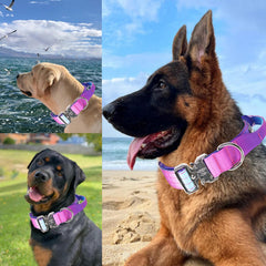 Comfluxe Tactical Dog Collar with blue handle improves outdoor visibility.