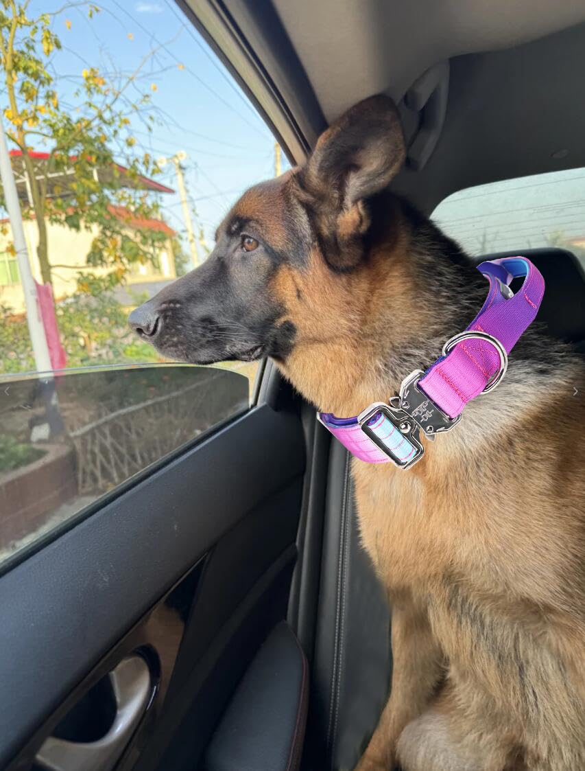 Large-dog profile demonstrates sizing compatibility.