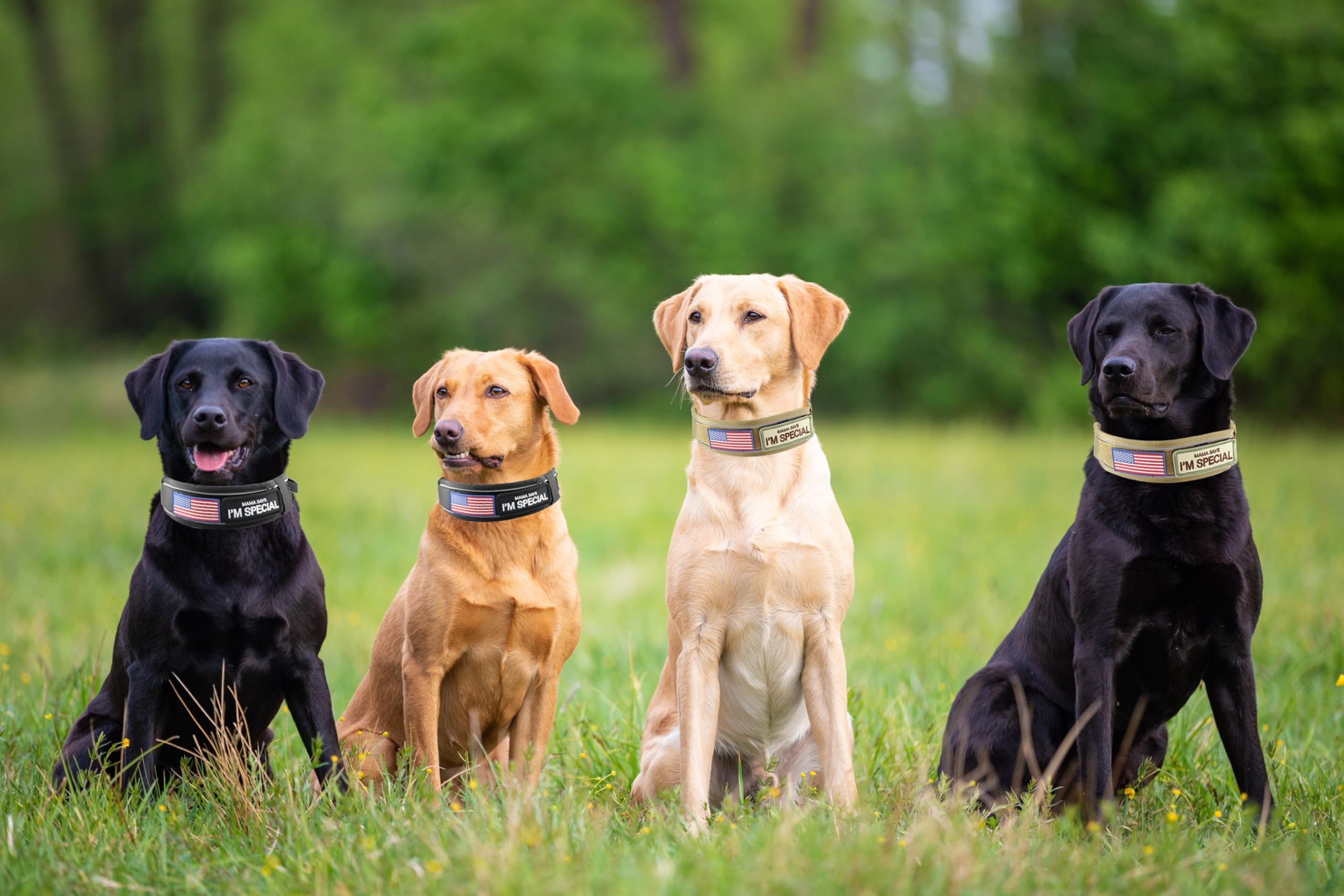 Comfluxe tactical collar interior neoprene padding reduces irritation during long hikes.