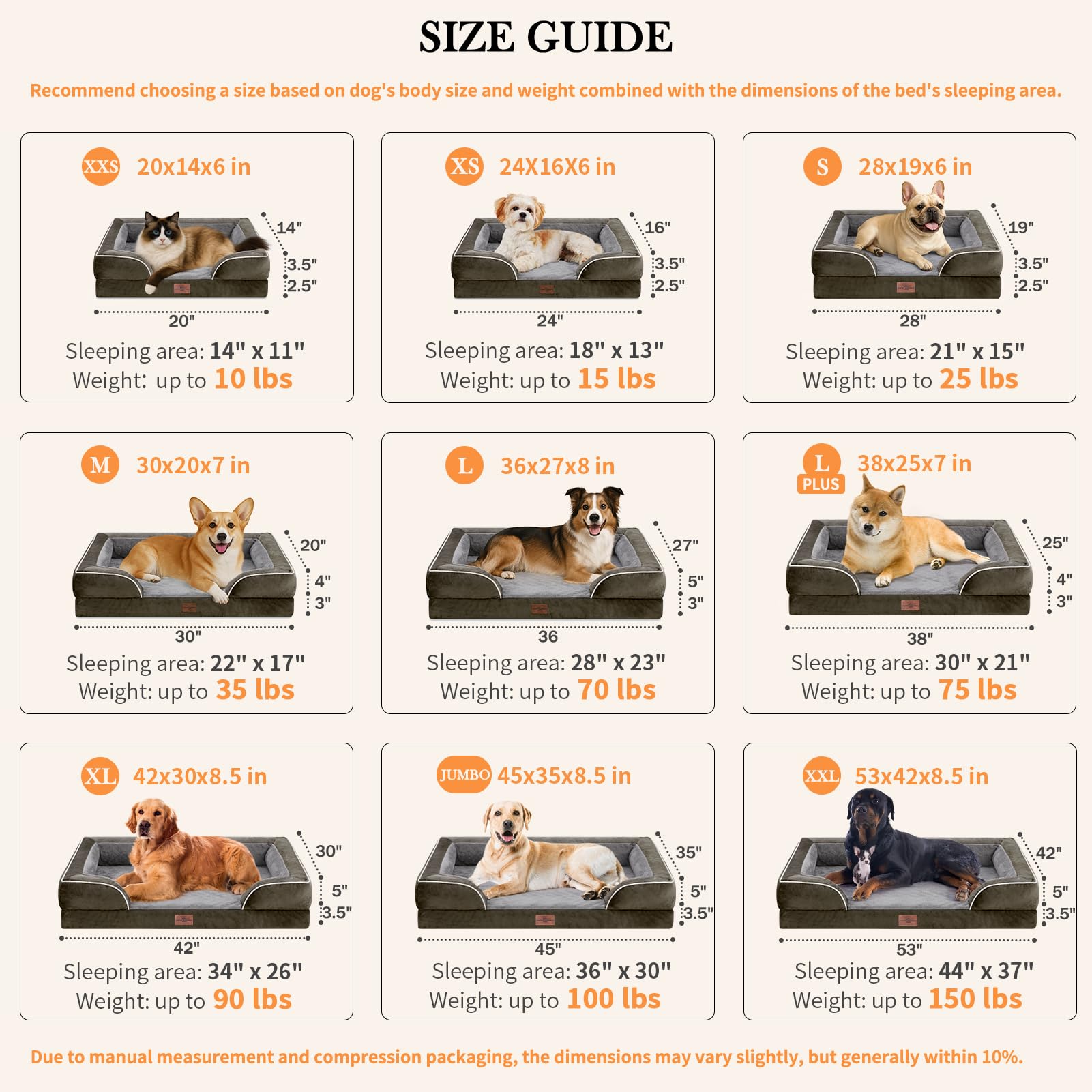 Comfort Expression orthopedic dog bed 36x30 sleeping surface for spacious lounging.