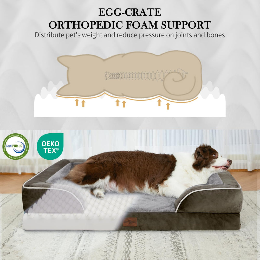 Comfort Expression orthopedic dog bed large 36x27 egg crate foam close-up showing joint-friendly support