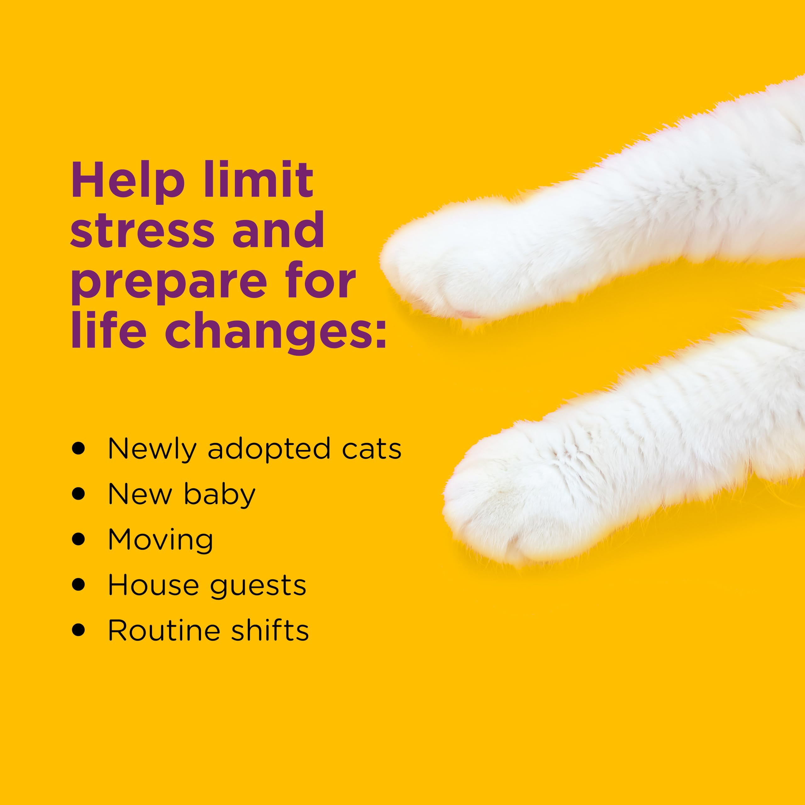 Comfort Zone cat calming diffuser close-up shows fragrance-free design