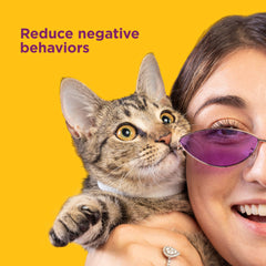 Comfort Zone cat collar worn outdoors during play, hinting at soothing support