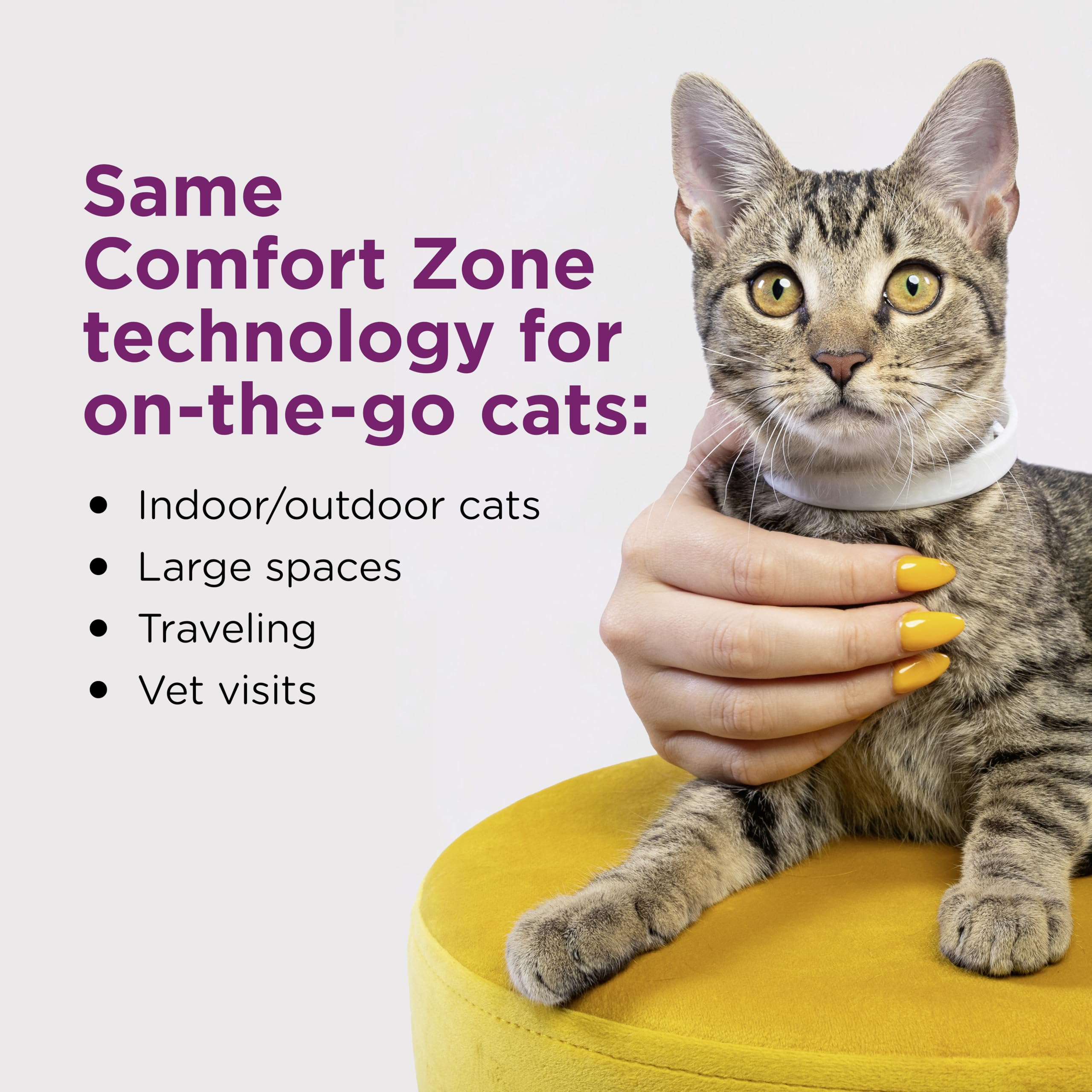 Comfort Zone cat collar pheromone release closeup showing ongoing calming support