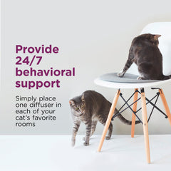 Comfort Zone Cat Relaxing in Living Room promotes calm and reduced tension