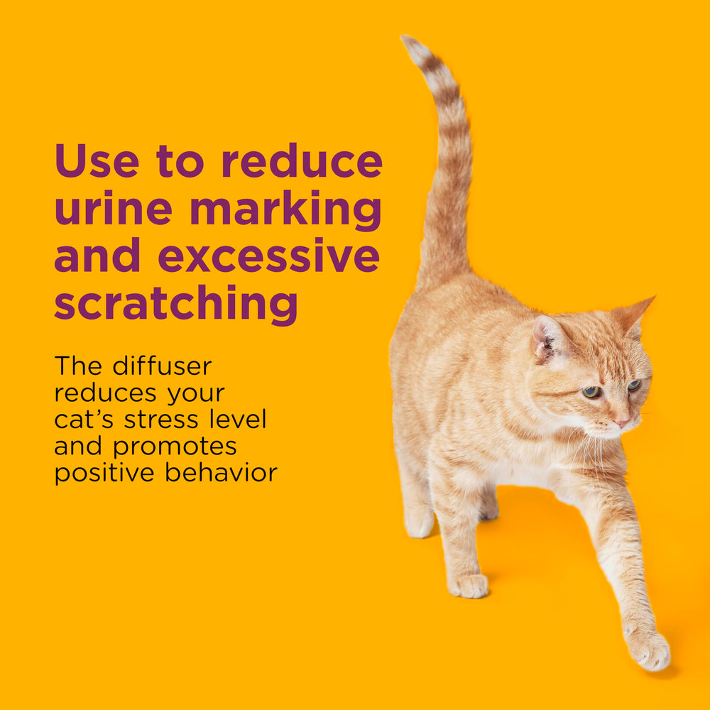 Comfort Zone diffuser in room setup shows easy integration for multi-cat harmony.