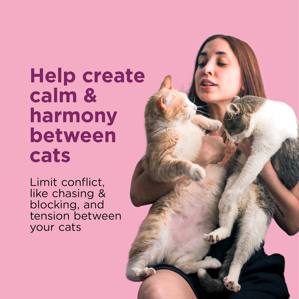 Comfort Zone Multi-Cat Diffuser refill pack ready for continuous calming