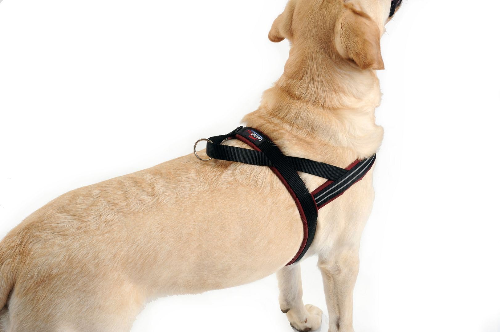 ComfortFlex Sport Harness-lightweight materials keep dogs agile and comfortable