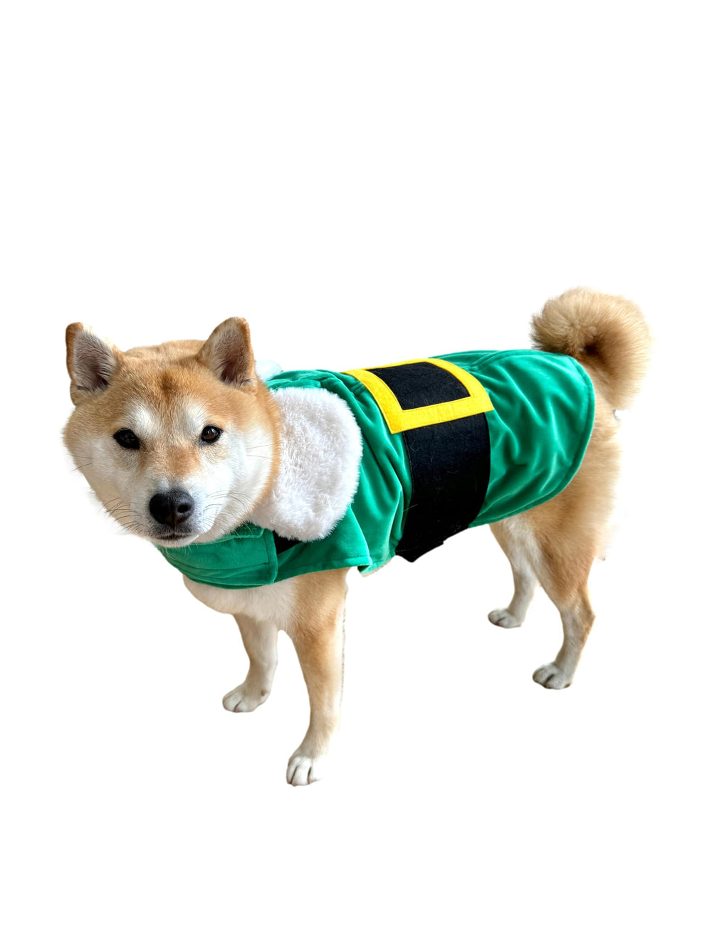 ComfyCamper green elf cape dog costume side view highlights adorable holiday look.