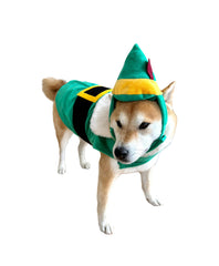 ComfyCamper green elf cape and hat on dog front view for festive cosplay inspiration.