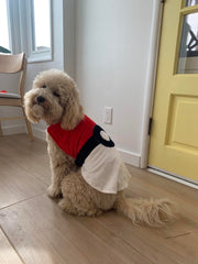ComfyCamper red and white dog costume back view for parade-ready style
