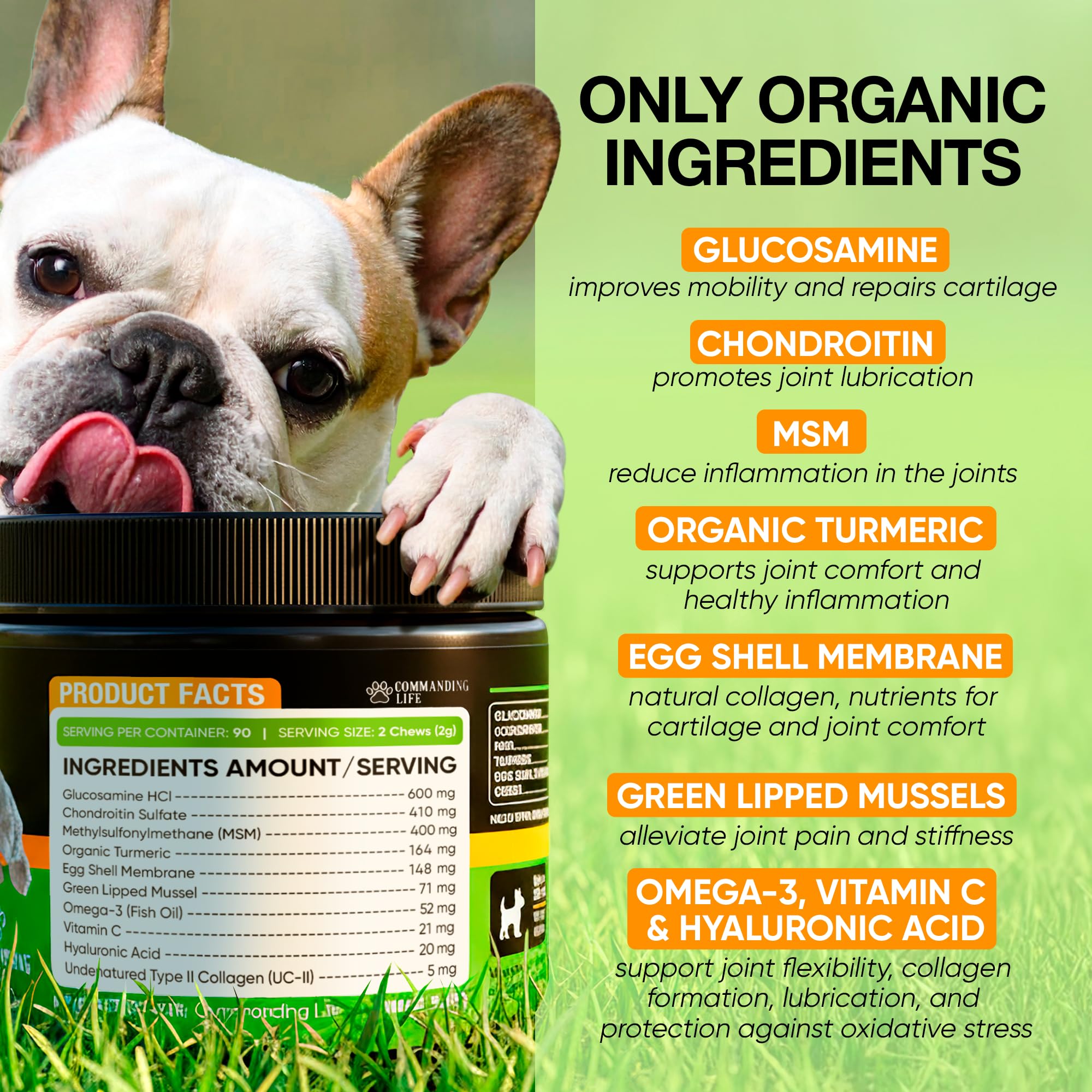 Commanding Life chicken-flavor dog joint chews ready for daily use