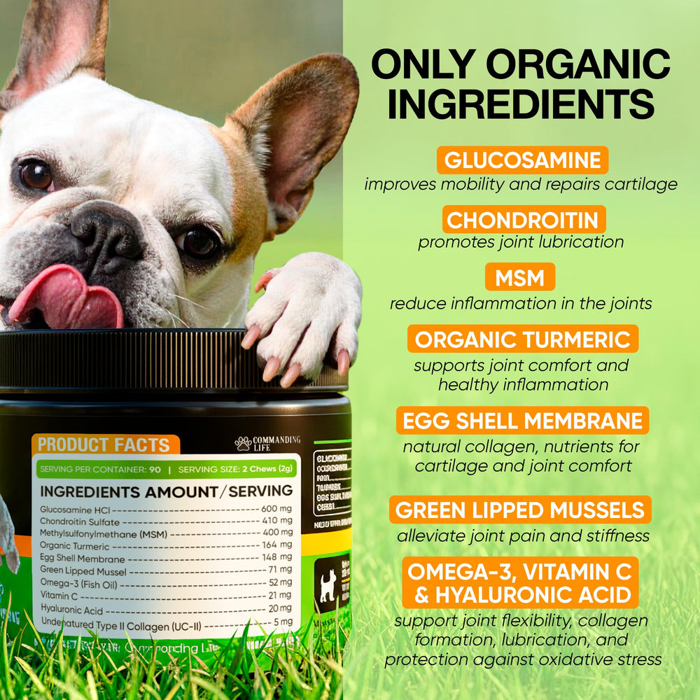 Commanding Life chicken-flavor dog joint chews ready for daily use