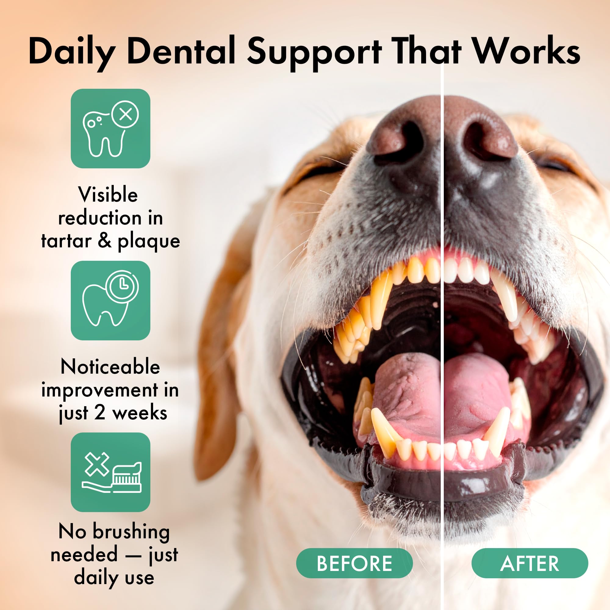 Commanding Life dog dental powder on food aids comfortable chewing and mealtime.