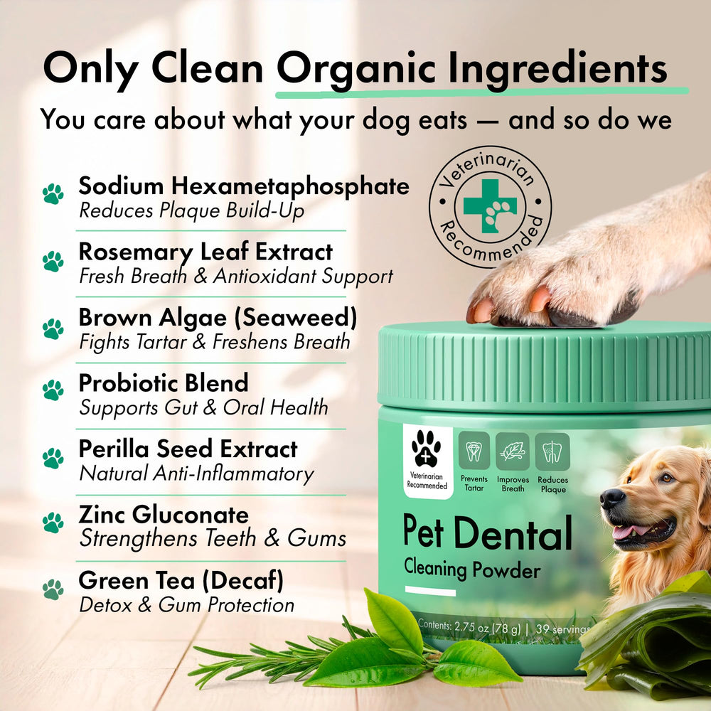Commanding Life dog dental powder being added to dog meal for simple use.