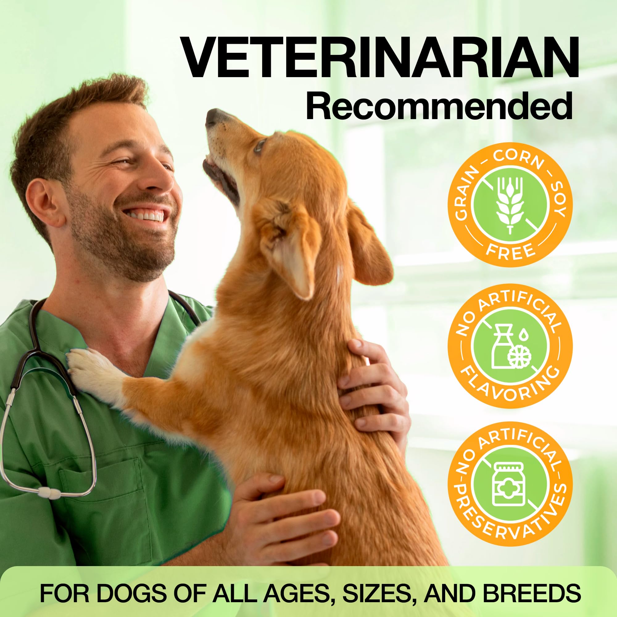 Commanding Life dogs mobility soft chews make daily walks easier