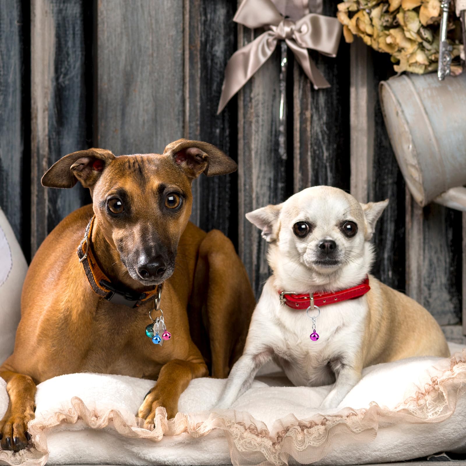 COMNICO 20 pieces bell pack highlights ample supply for multiple pets