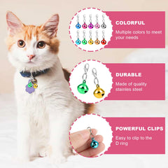 COMNICO pet bell mixed colors display offers vibrant options