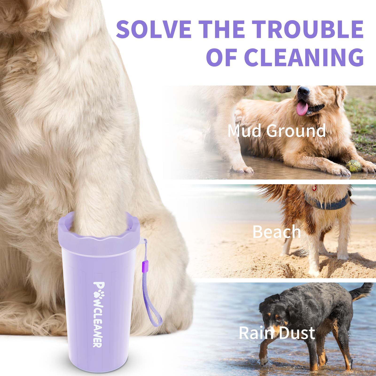 Comotech dog and cat toothbrushes set ready for daily dental care