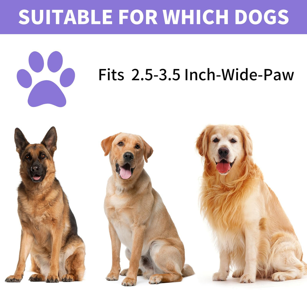Comotech usage steps image showing easy three-step paw cleaning