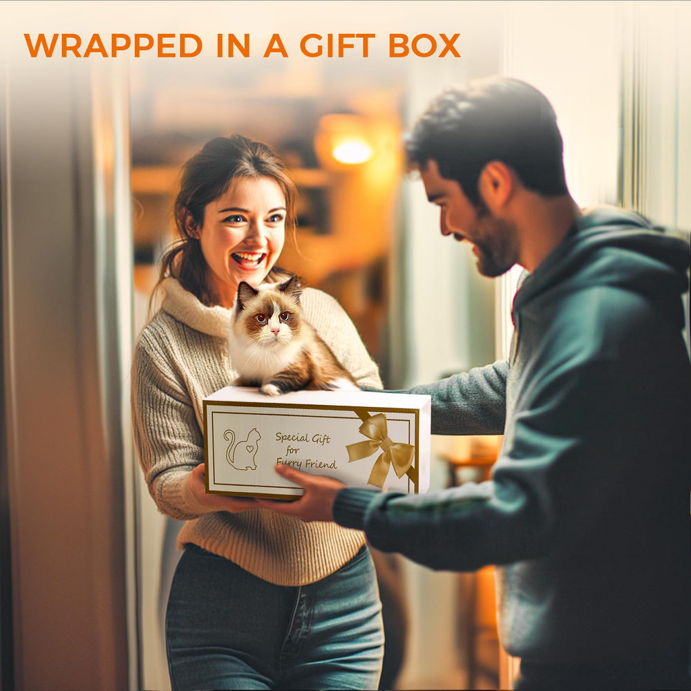 ComSaf Cat Bed House quick-assembly design without tools