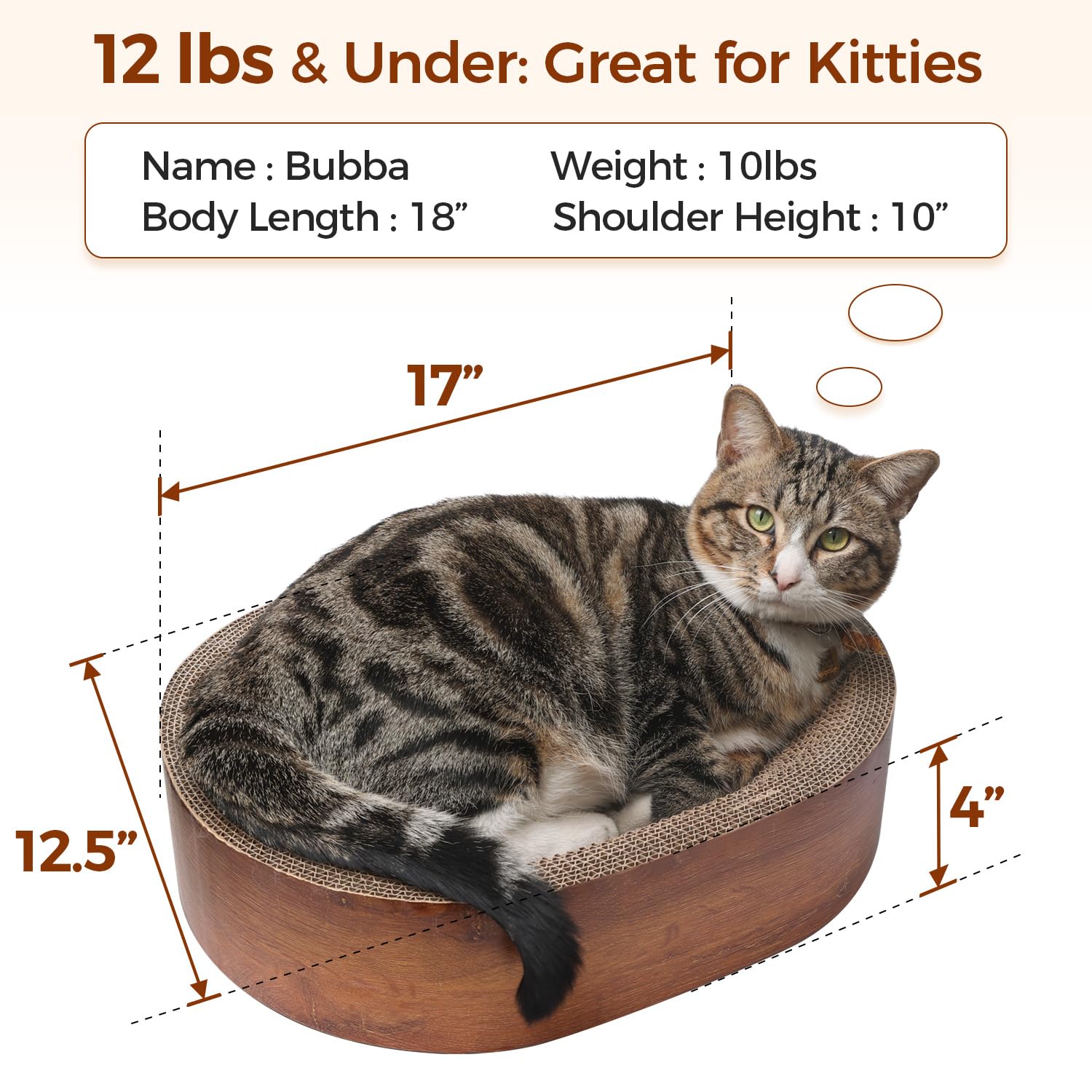 ComSaf Cat Scratcher Bed - sealed base close-up shows debris catcher