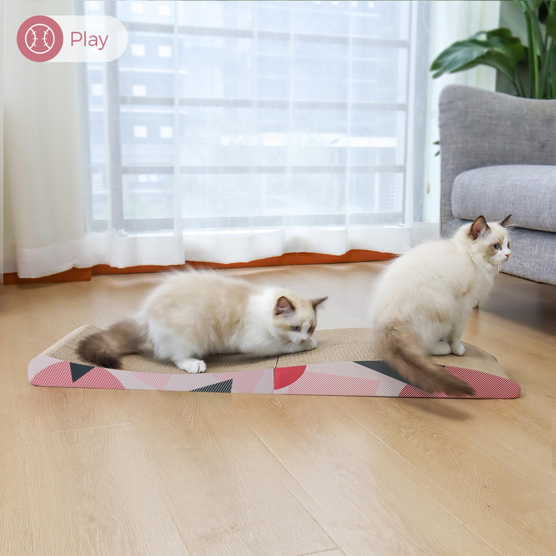 ComSaf large-cat lounge ideal for spacious resting