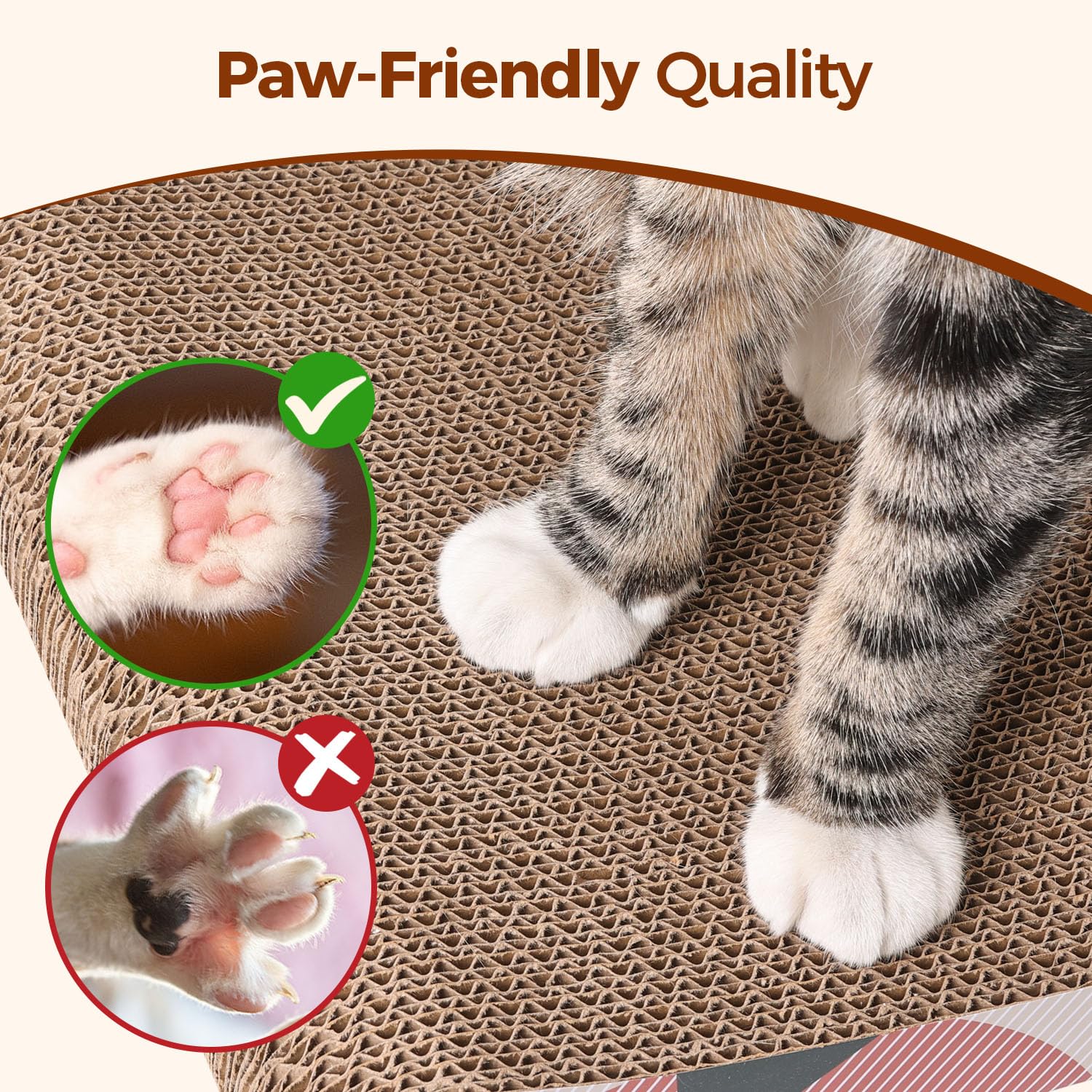 ComSaf recyclable cardboard supports sustainable pet care