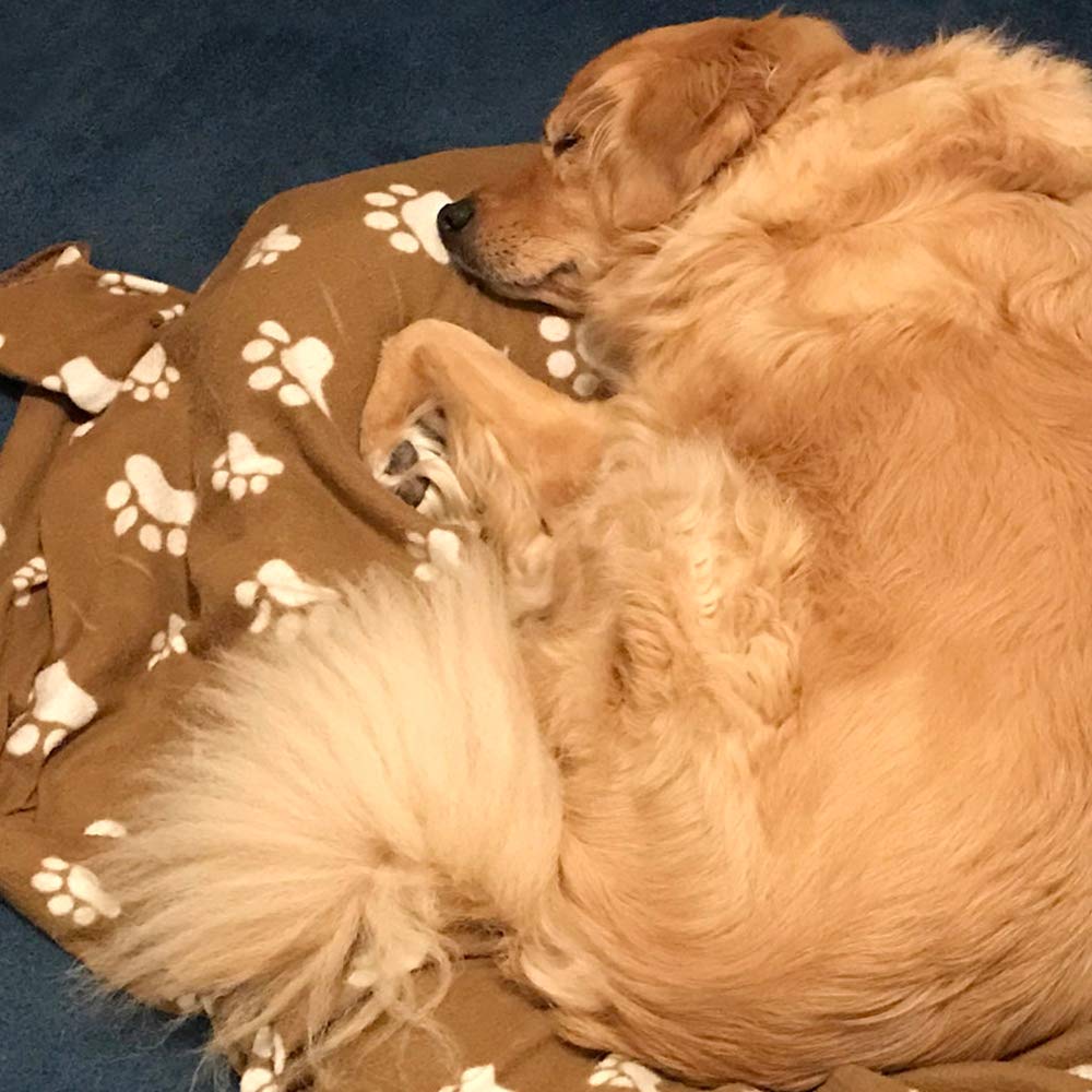 Comsmart dog blanket carry bag use showcases versatile blanket for car, bed, or crate.