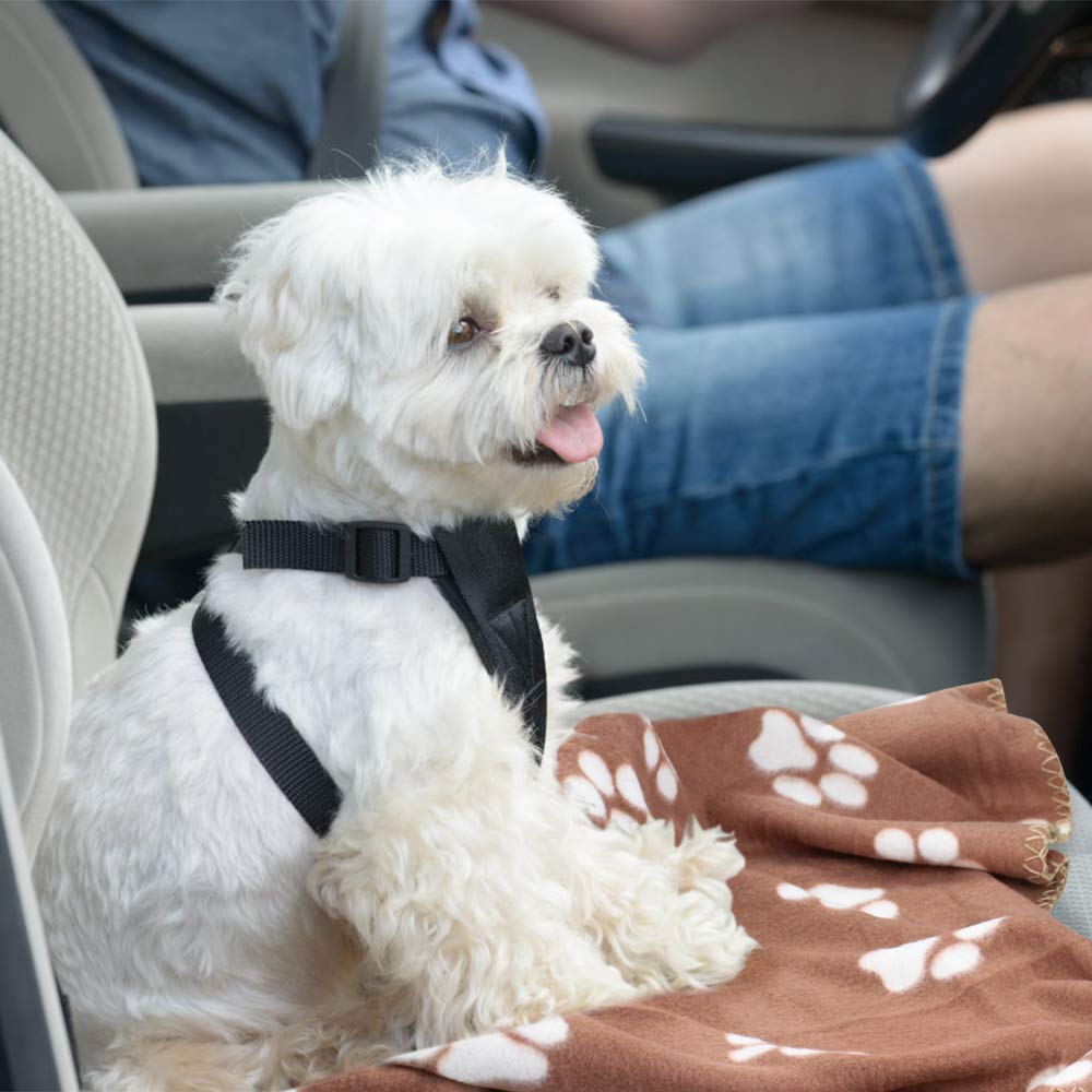 Comsmart Dog Blankets color brown ready for sofa protection and warm naps.