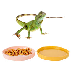 COMSUN four-pack reptile dish blue close-up lightweight and durable for daily use