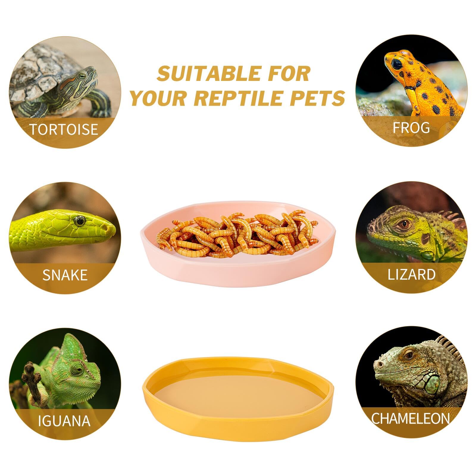 COMSUN four-pack reptile dish yellow close-up versatile for lizards and geckos