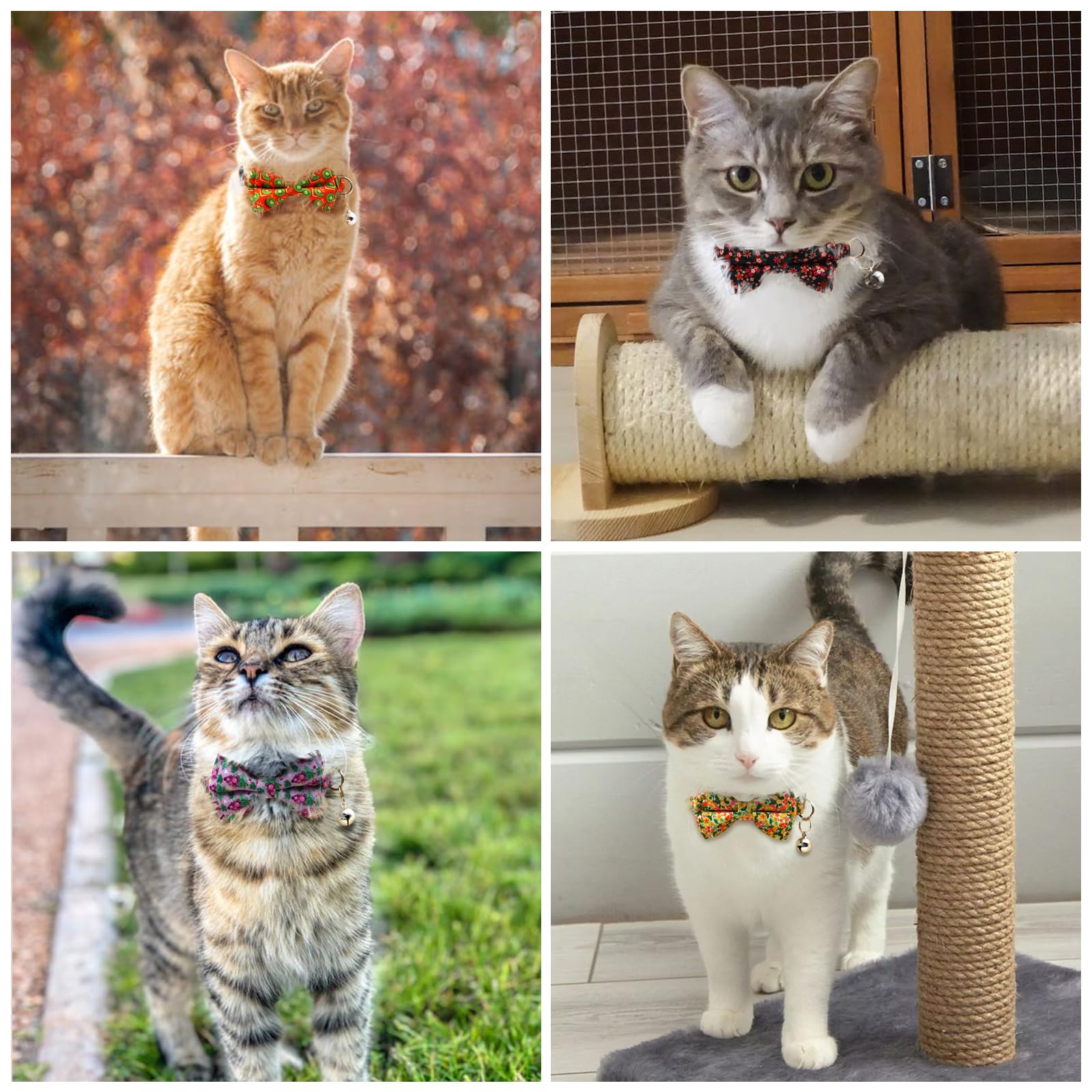 Breakaway safety clip on COMSUN cat collar prevents snag injuries during play.