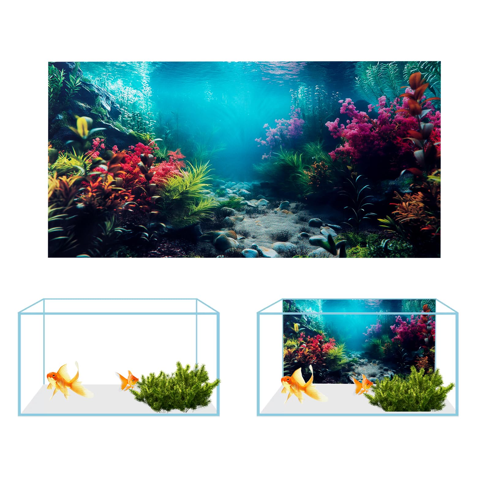 COMSUN aquarium background reef-scene brightens colors and enhances viewing depth.