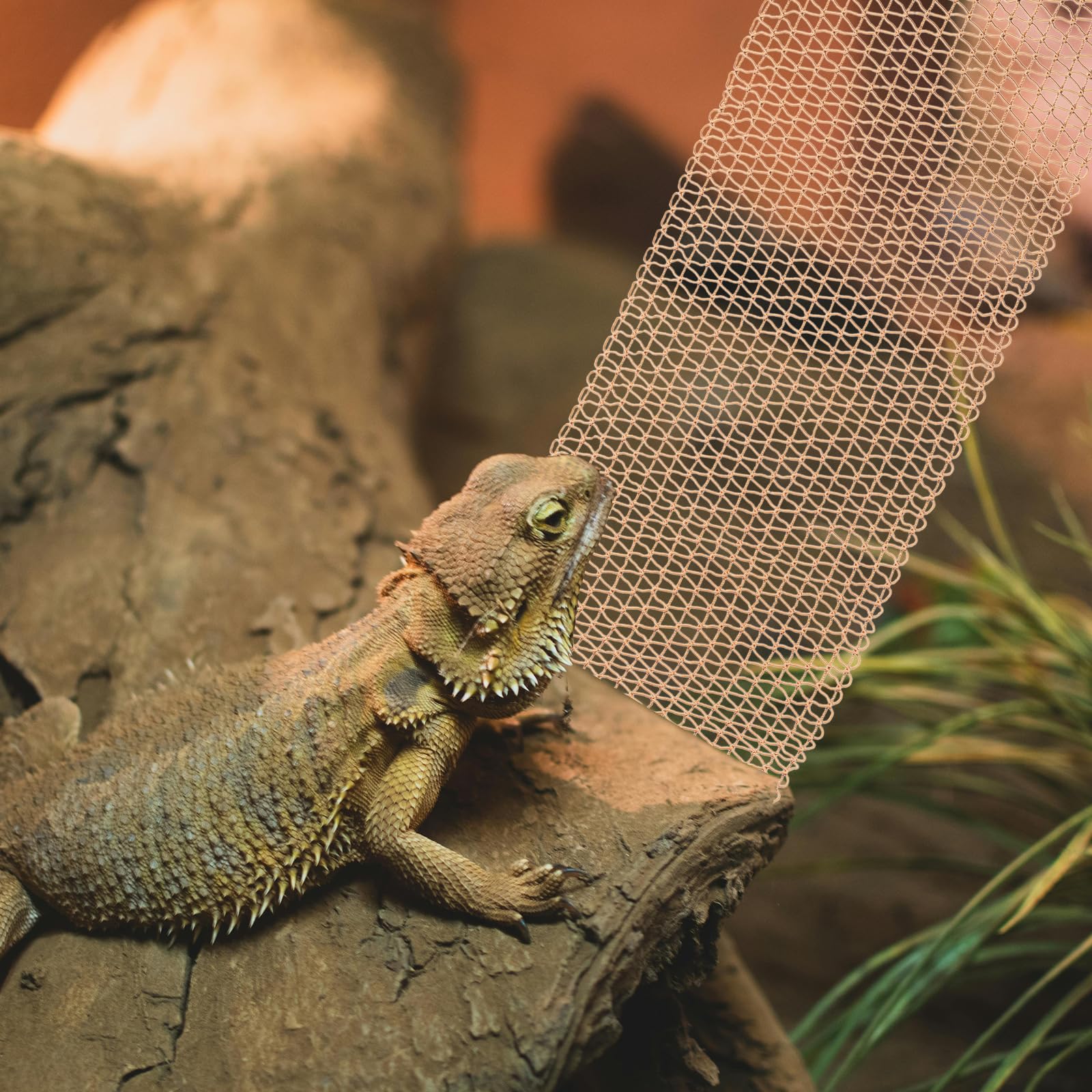 COMSUN 36in bearded dragon hammock, spacious lounge space