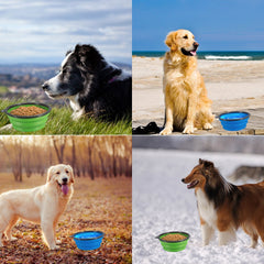 COMSUN collapsible dog bowl large blue-green hang-from-leash for outdoors.