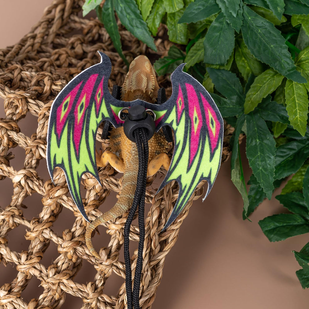 COMSUN complete set includes six harnesses, two wings, and two leashes.