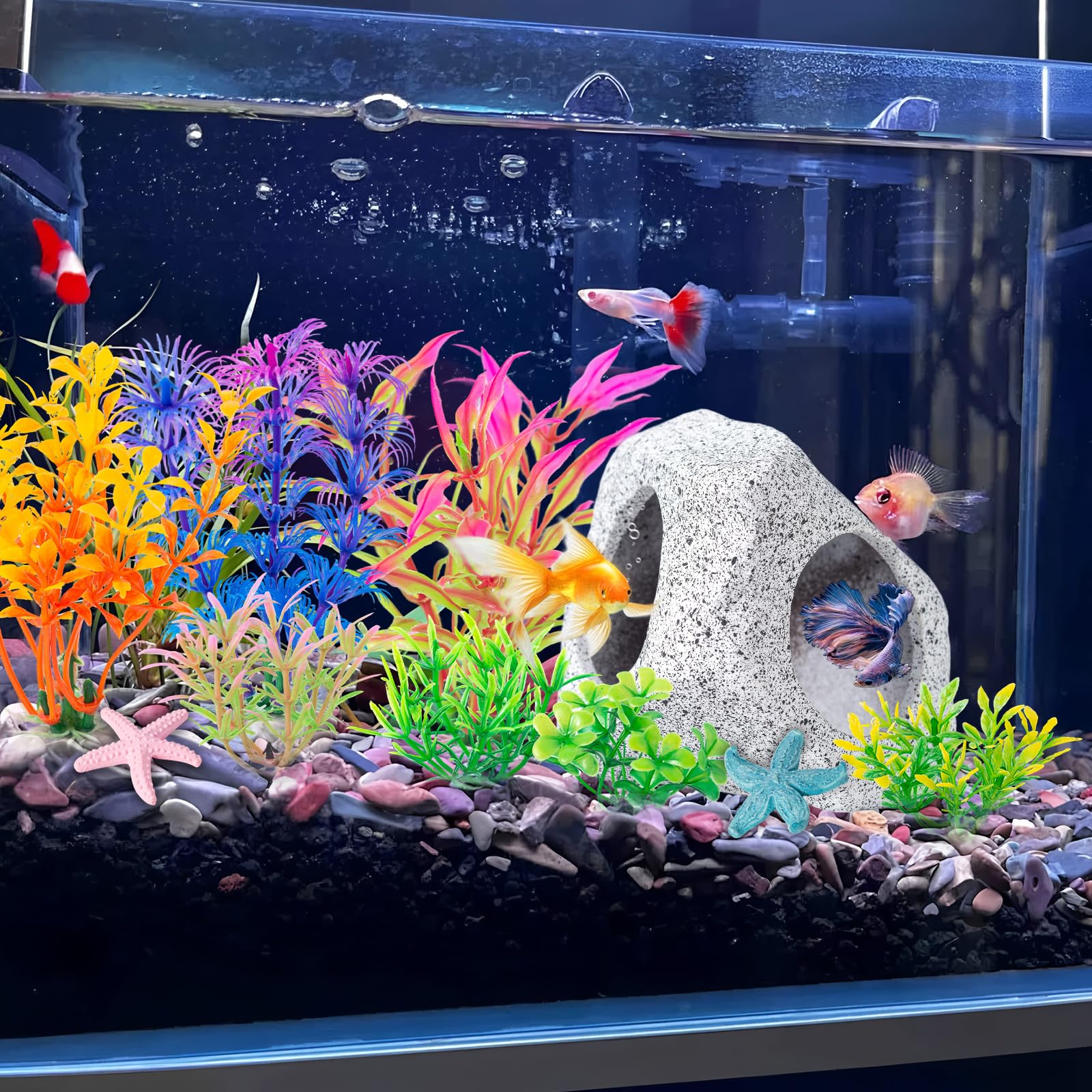 COMSUN set stays vibrant with minimal maintenance in freshwater or saltwater tanks.